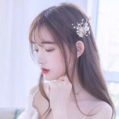 梅西耶环形山立体影像